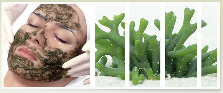 BIO-PEELING